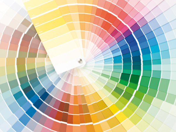 say about us colour smartcropfourtothree